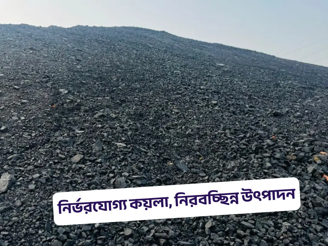 slide 10 coal