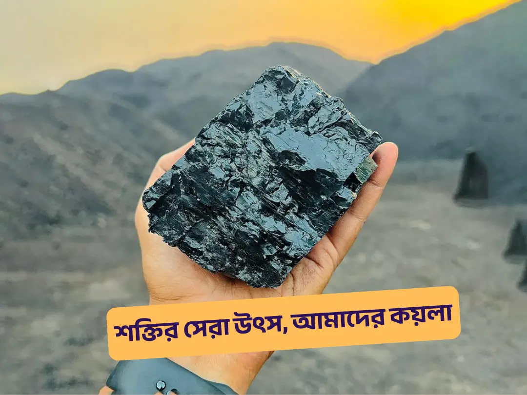 slide 8 coal